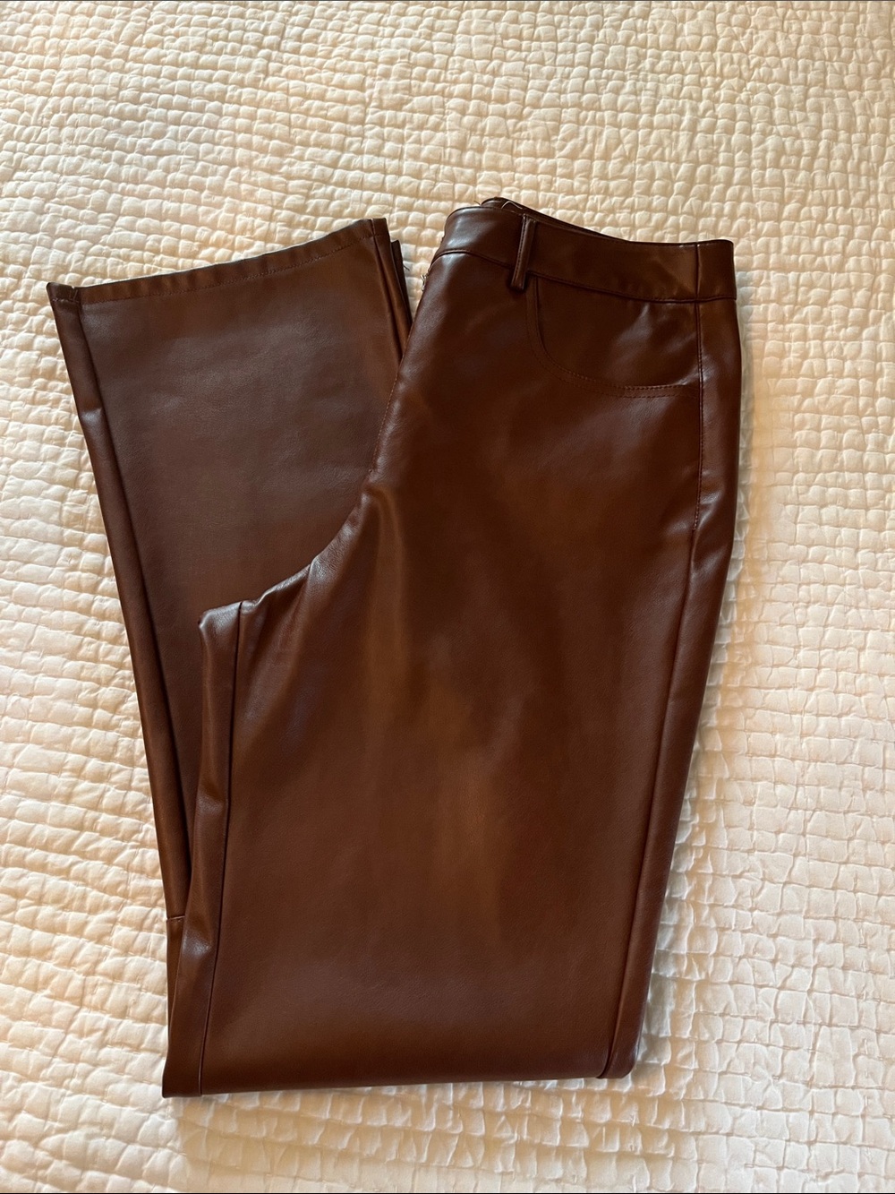 Brown Faux Leather Pants purchased from Anthropologie